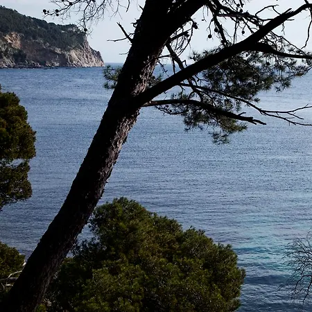 Eetu Affiliated By Melia (adults Only) Hotel Begur