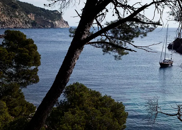 Eetu Affiliated By Melia (adults Only) Otel Begur