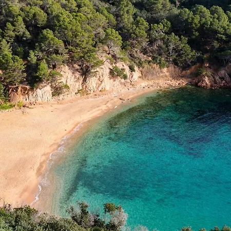 Eetu Begur, Affiliated By Melia (adults Only) 4*