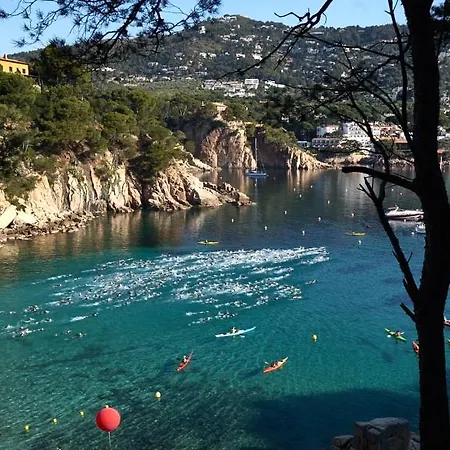 Eetu Begur, Affiliated By Melia (adults Only) 4*