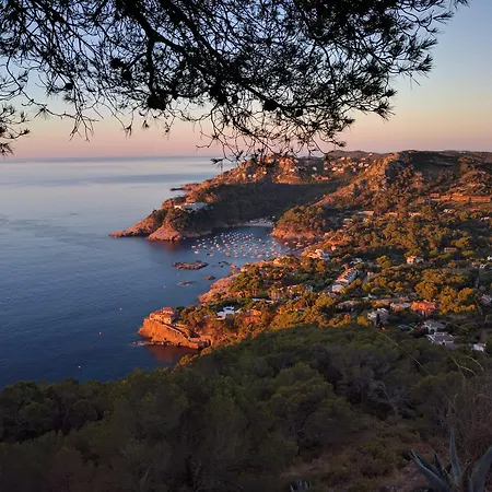 Eetu Begur, Affiliated By Melia (adults Only) ベグール